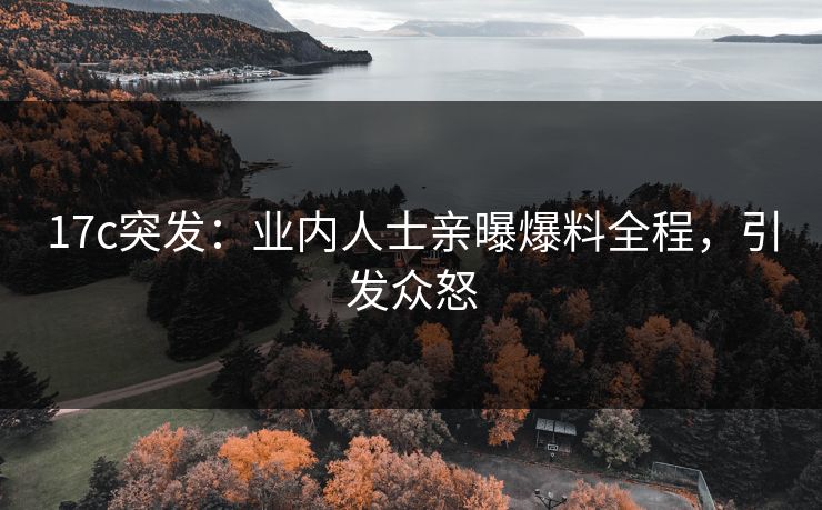 17c突发：业内人士亲曝爆料全程，引发众怒